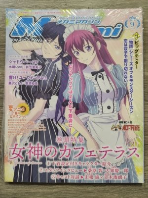 Megami vol. 292 - September 2024 (Bishoujo Magazine, Import)
