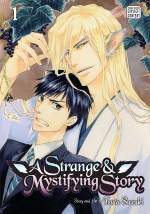 A Strange and Mystifying Story vol. 1 (Yaoi manga)