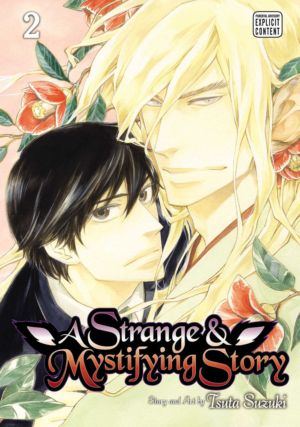 A Strange and Mystifying Story vol. 2 (Yaoi manga)