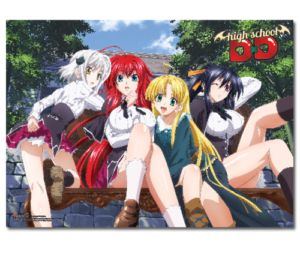 High School DxD (Wall Scroll, horizontal)