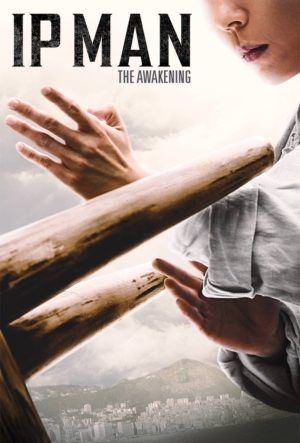 IP Man: The Awakening (DVD) (Asian Cinema)