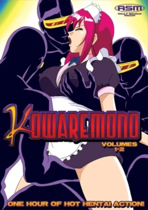 Kowaremono (18+ DVD)