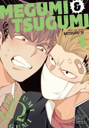 Megumi & Tsugumi vol. 1 (Yaoi manga)