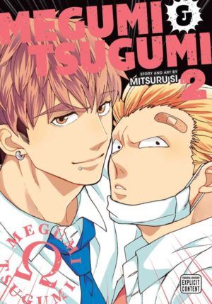 Megumi & Tsugumi vol. 2 (Yaoi manga)