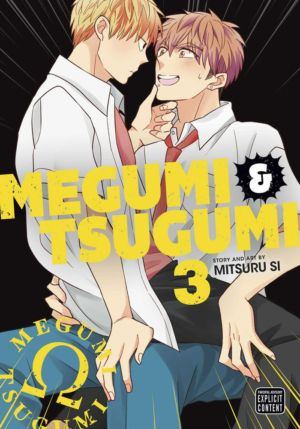 Megumi & Tsugumi vol. 3 (Yaoi manga)