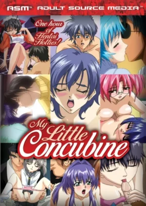 My Little Concubine (18+ DVD)
