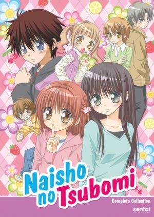 Naisho no Tsubomi complete OVA (DVD) (Japanese Animation)