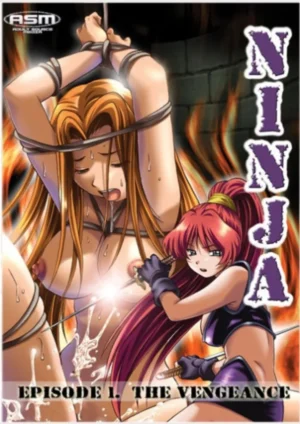 Ninja vol. 1 (18+ DVD)