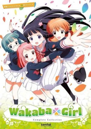 Wakaba Girl complete collection (DVD) (Japanese Animation)
