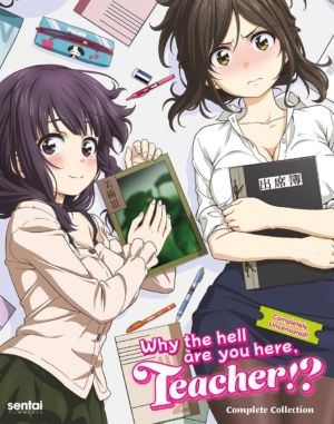 Why The Hell Are You Here, Teacher!? complete seres (Blu-ray) (Japanese Animation)