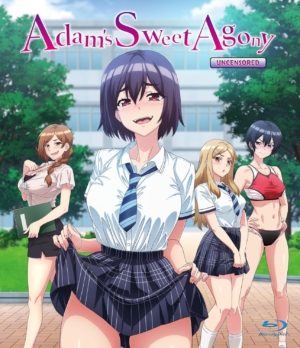 Adam's Sweet Agony complete series (18+  Blu-ray)