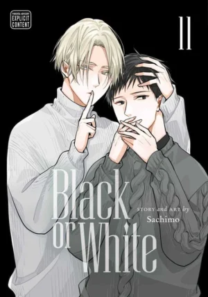 Black or White vol. 11 ( Yaoi manga)