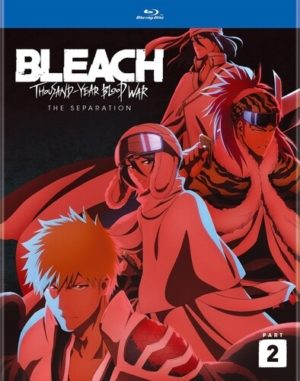 Bleach: Thousand Year Blood War part 2 (Blu-ray) (Japanese Animation)