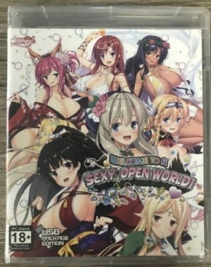 Welcome To A Sexy, Open World! (18+ PC game) (USB-Drive)