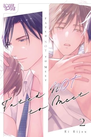 Fated NOT To Meet vol. 2 (Yaoi manga)