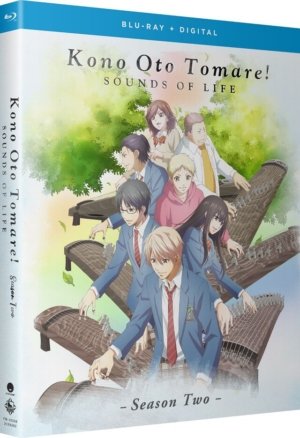 Kono Oto Tomare!: Sounds of Life complete season 2 (Blu-Ray) (Japanese Animation)