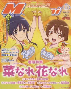 Megami vol. 293 - October 2024 (Bishoujo Magazine, Import)