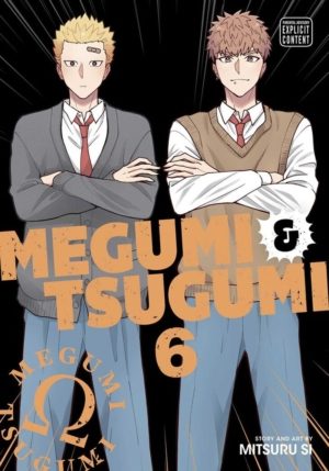 Megumi & Tsugumi vol. 6 (Yaoi manga)