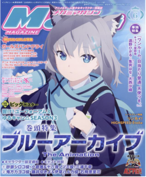 Megami vol. 289 - June 2024 (Bishoujo Magazine, Import)
