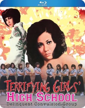 Terrifying Girls' High School: Delinquent Convulsion Group (Blu-ray) (Asian Cinema)